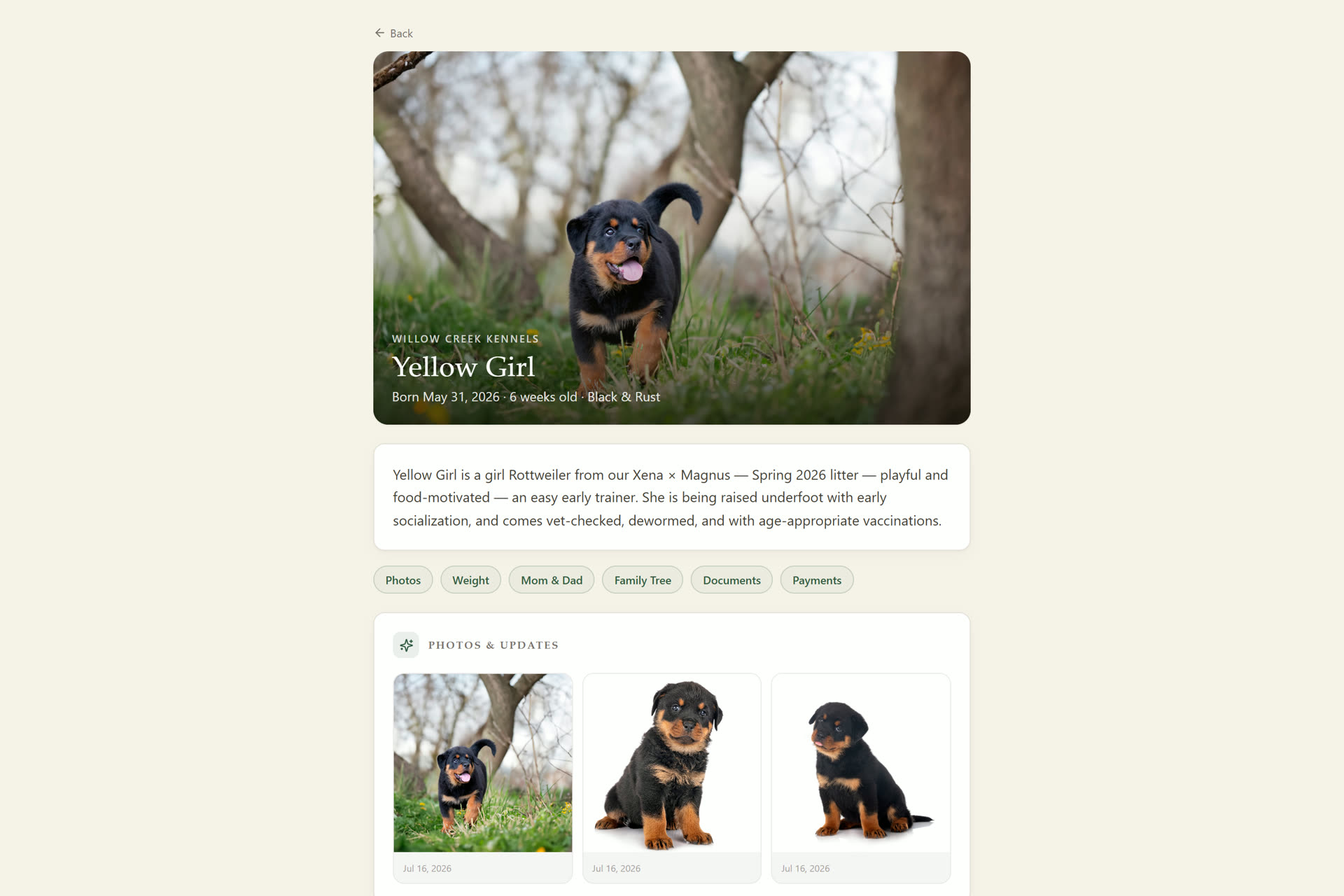 Kinvara buyer portal