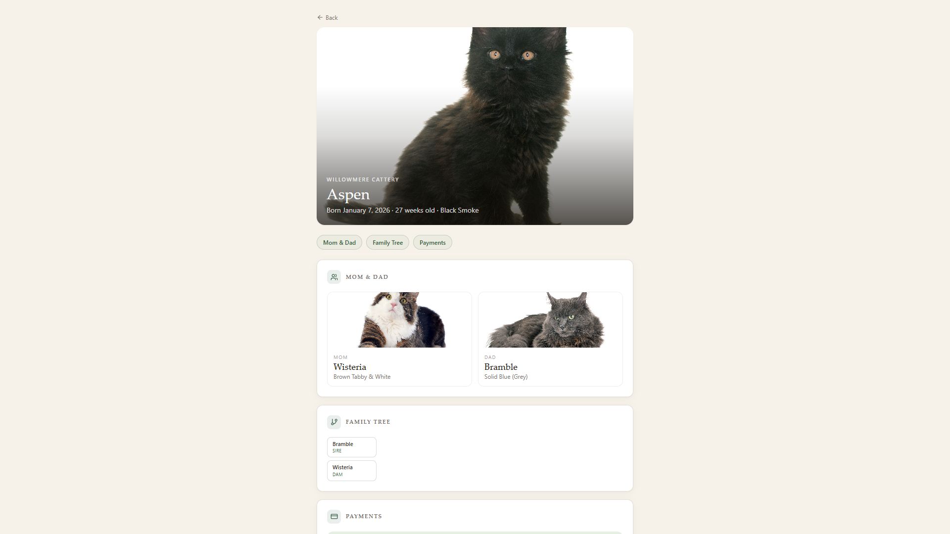 Kinvara buyer portal — a kitten's private page with photo hero, mom and dad, family tree, and payments