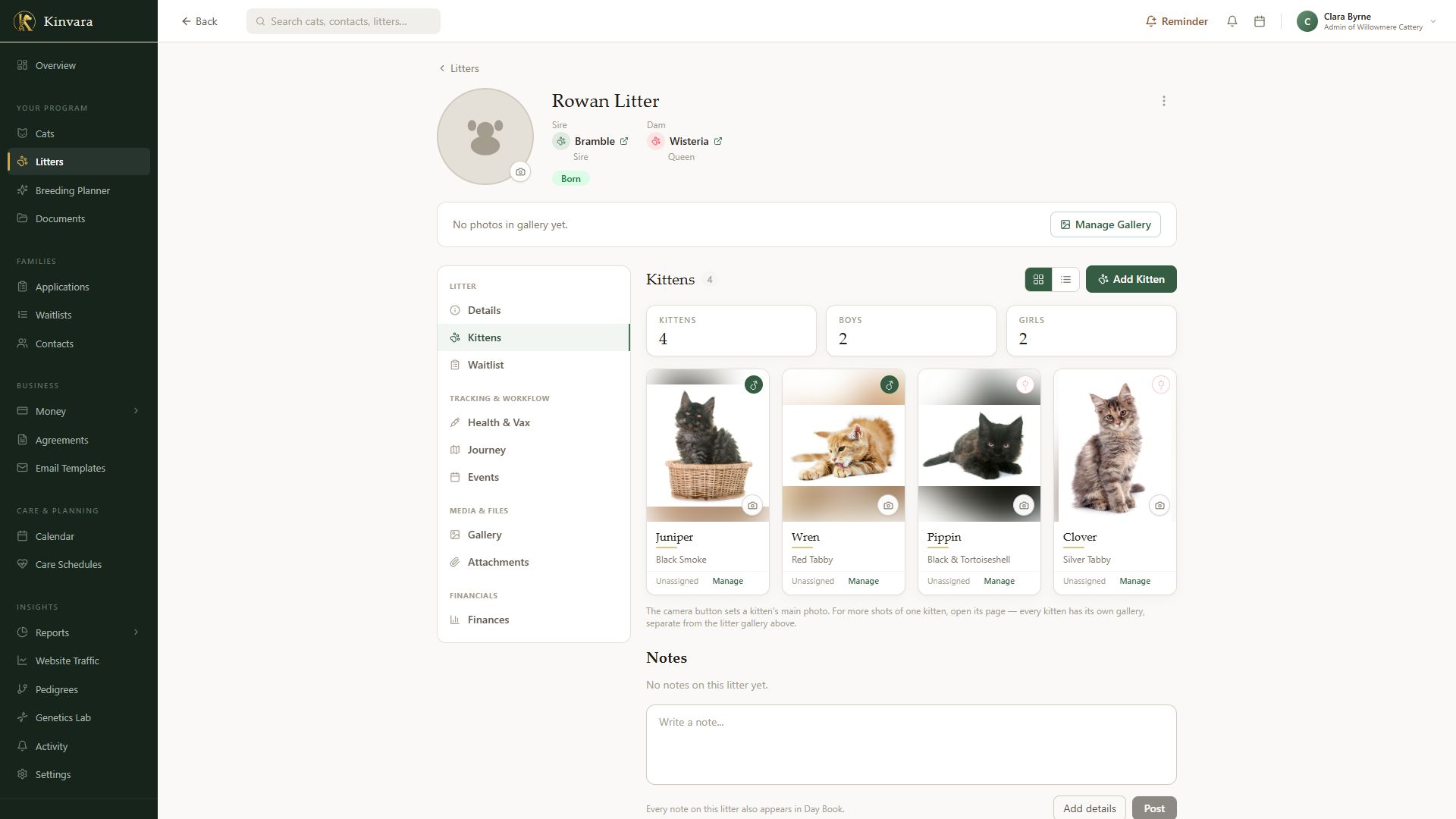 Kitten litter management — a Kinvara litter page with four kittens, photos, colors, and family assignments